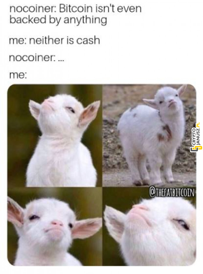 Pieniądze nie mają pokrycia... Tak jak Bitcoin