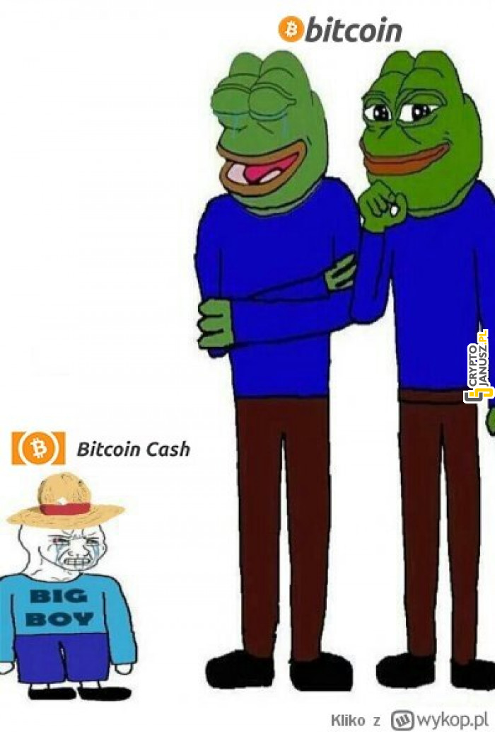 Bitcoin vs Bitcoin Cash