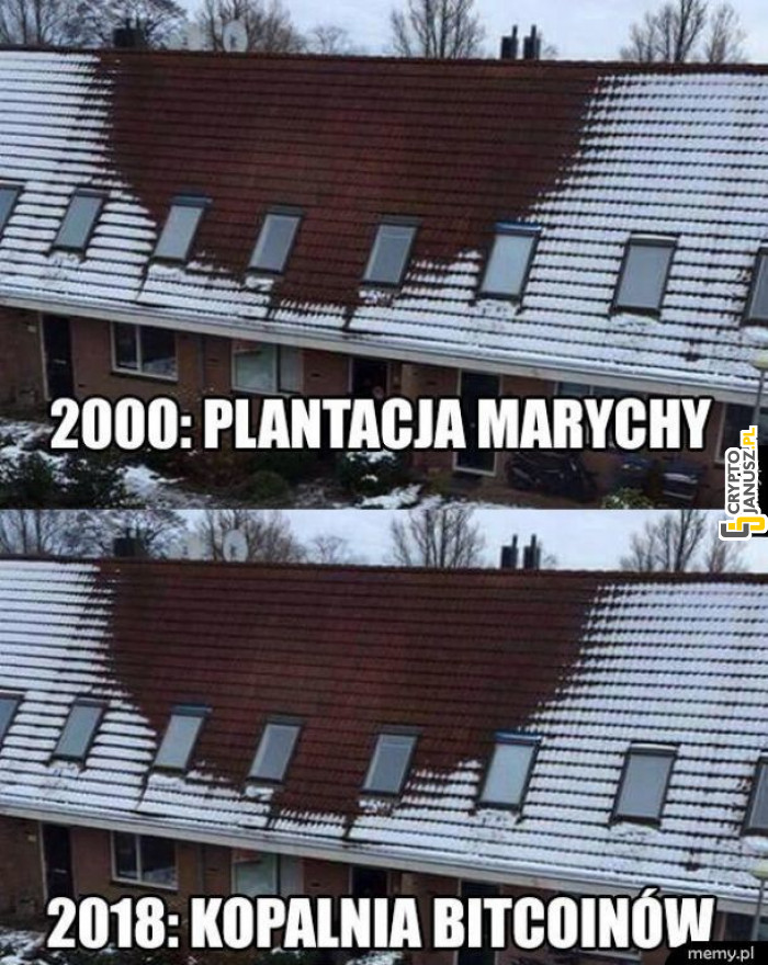 Kiedyś plantacja Marihuany, dzisiaj kopalnia kryptowalut