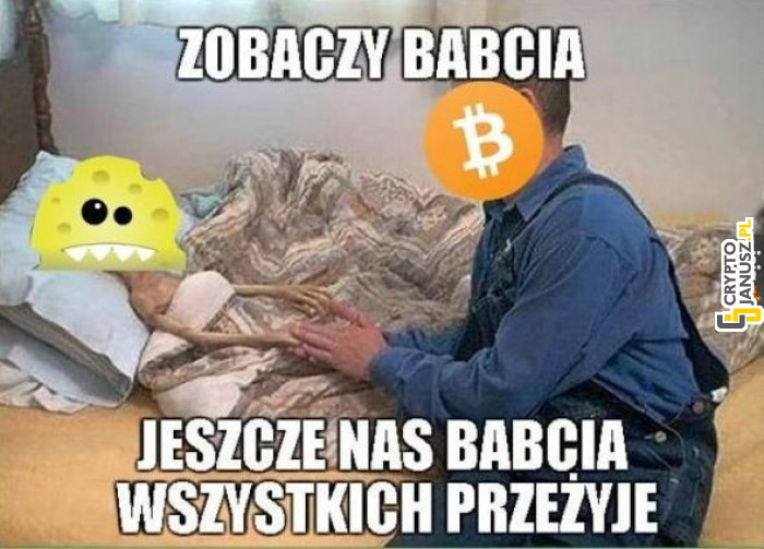 Bitcoin vs Eurogąbki