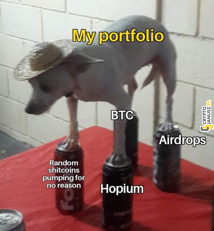 Jak wygląda portfolio większości krypto entuzjastów