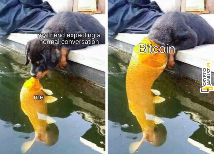 Rozmowa o kryptowalutach