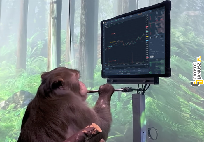 Małpa z Neuralink kontroluje wykres Bitcoina