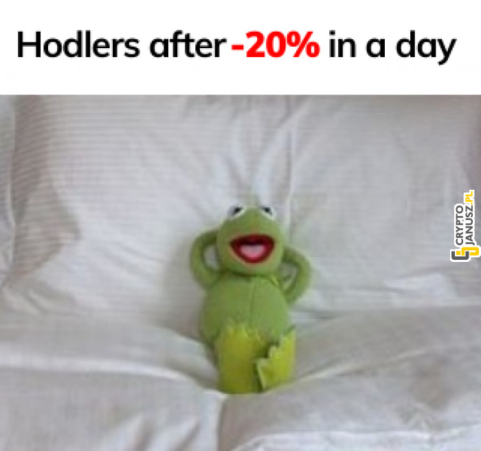 Hodlerzy podczas dziennych spadków o 20%