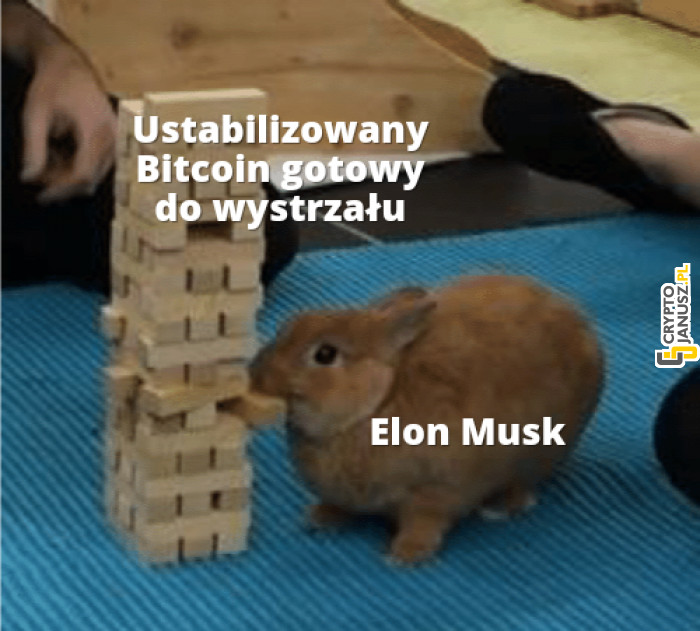 Elon Musk bawi się Bitcoinem