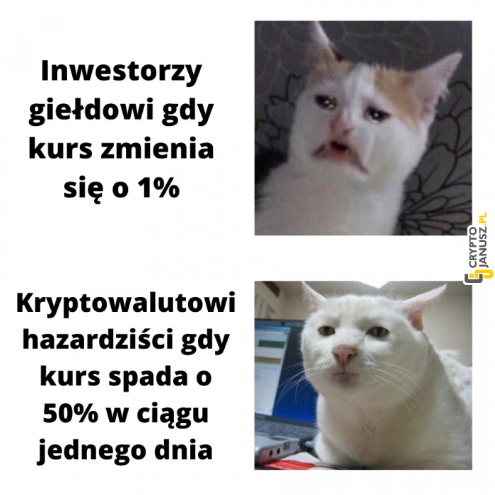 Kryptowalutowi inwestorzy muszą mieć silną psychikę