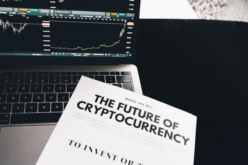 Książka przyszłość kryptowalut - The Future of Cryptocurrency